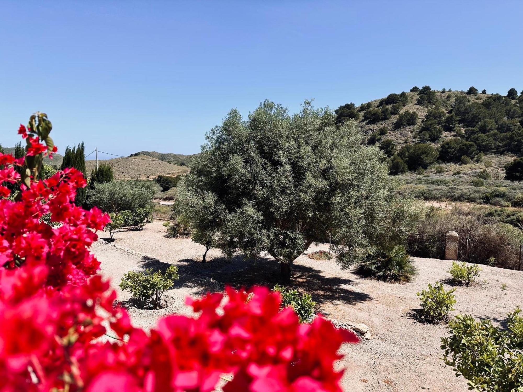 Finca Ocha - Calblanque Los Belones Eksteriør billede