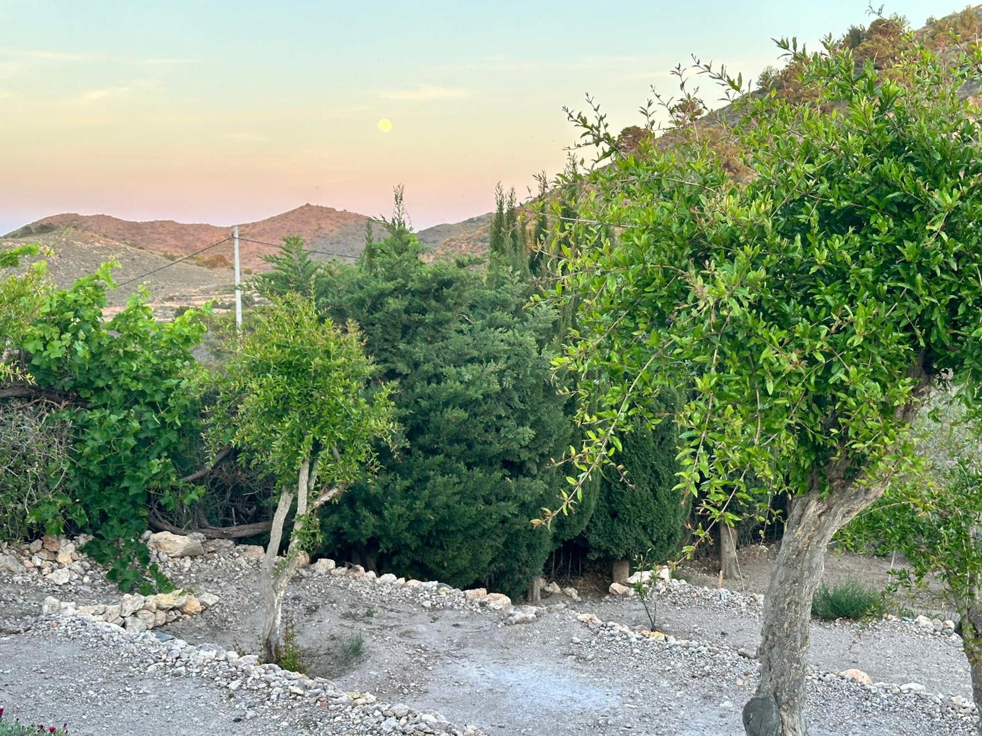 Finca Ocha - Calblanque Los Belones Eksteriør billede