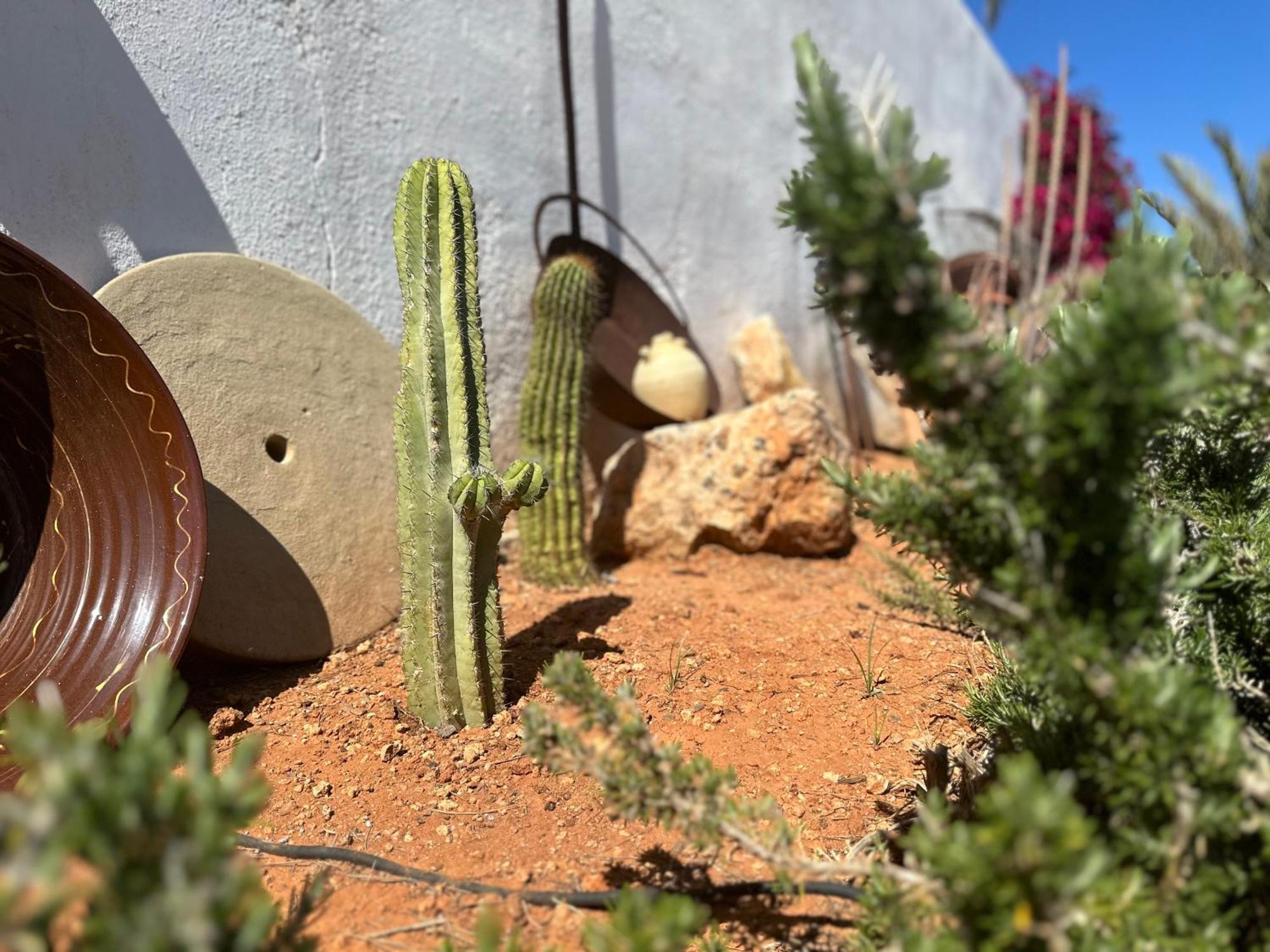 Finca Ocha - Calblanque Los Belones Eksteriør billede