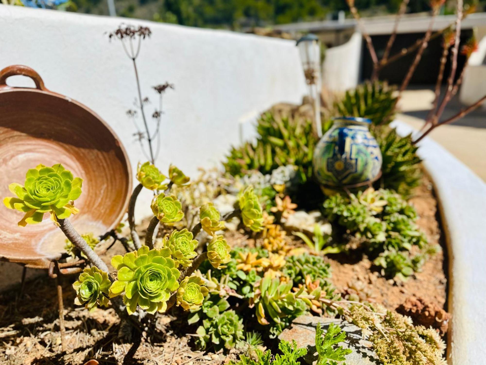 Finca Ocha - Calblanque Los Belones Eksteriør billede