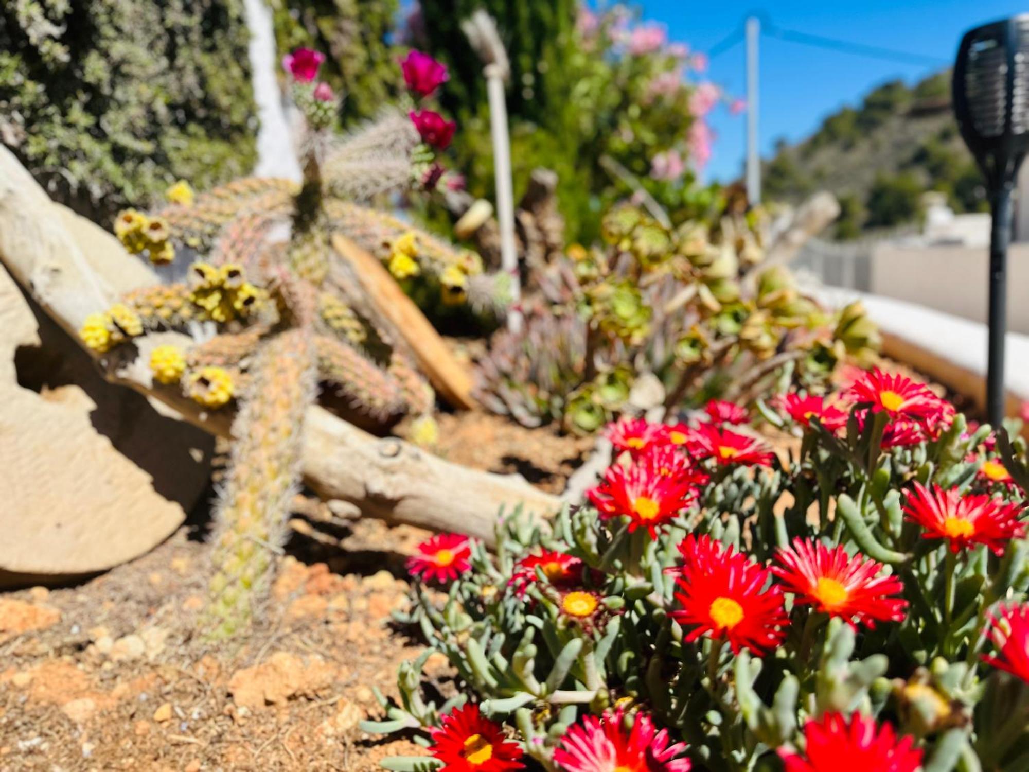 Finca Ocha - Calblanque Los Belones Eksteriør billede