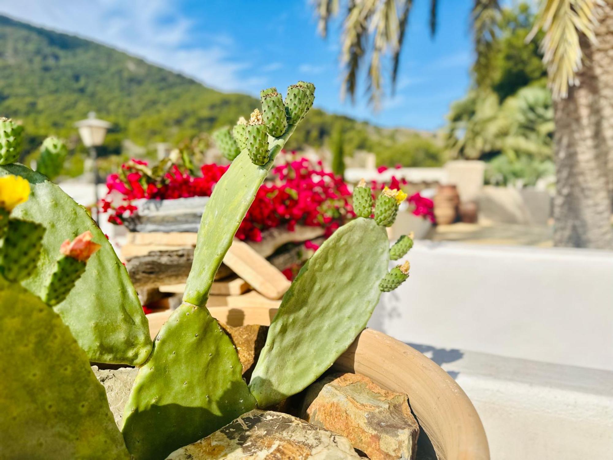 Finca Ocha - Calblanque Los Belones Eksteriør billede